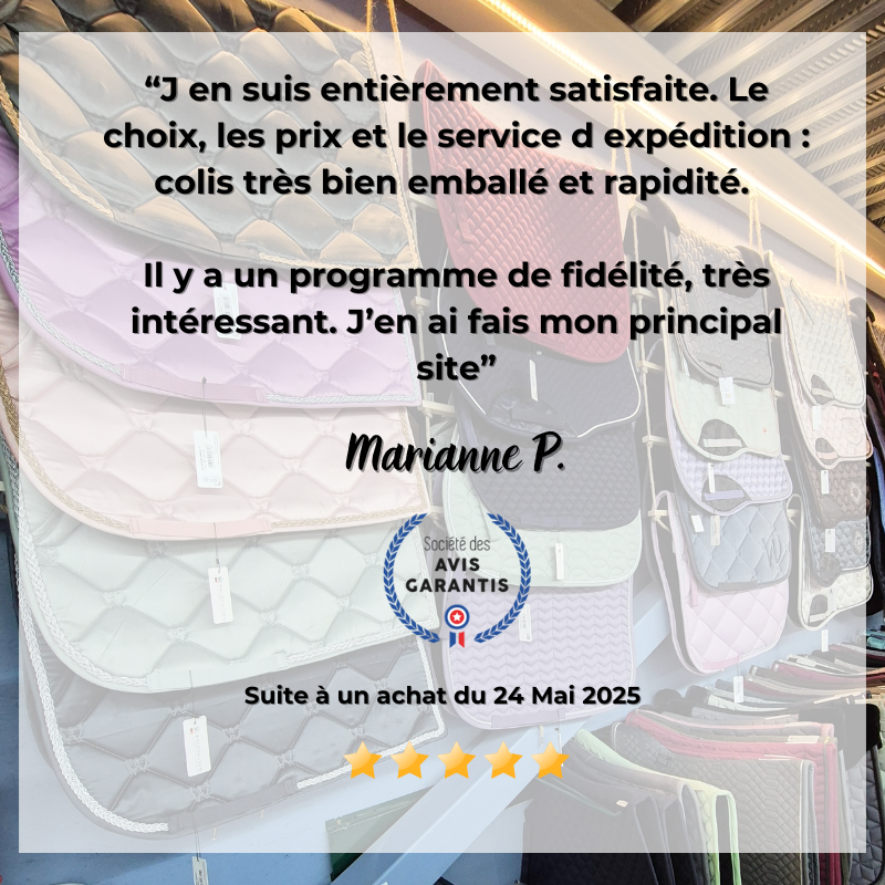 Avis Equestra