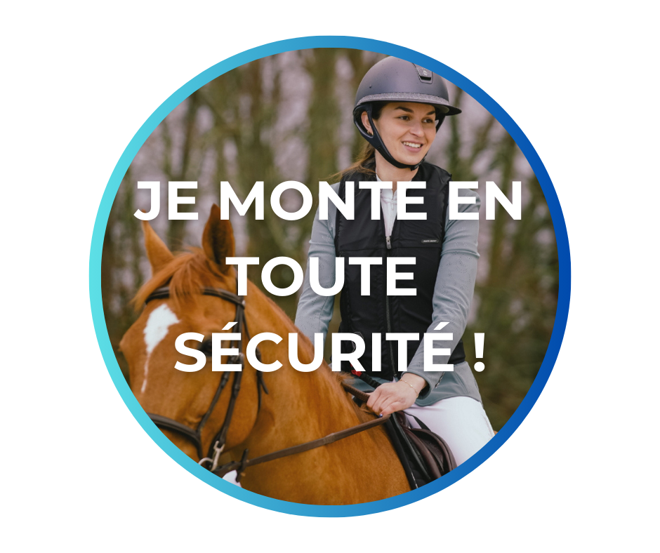 Spray pour lutter contre les insectes