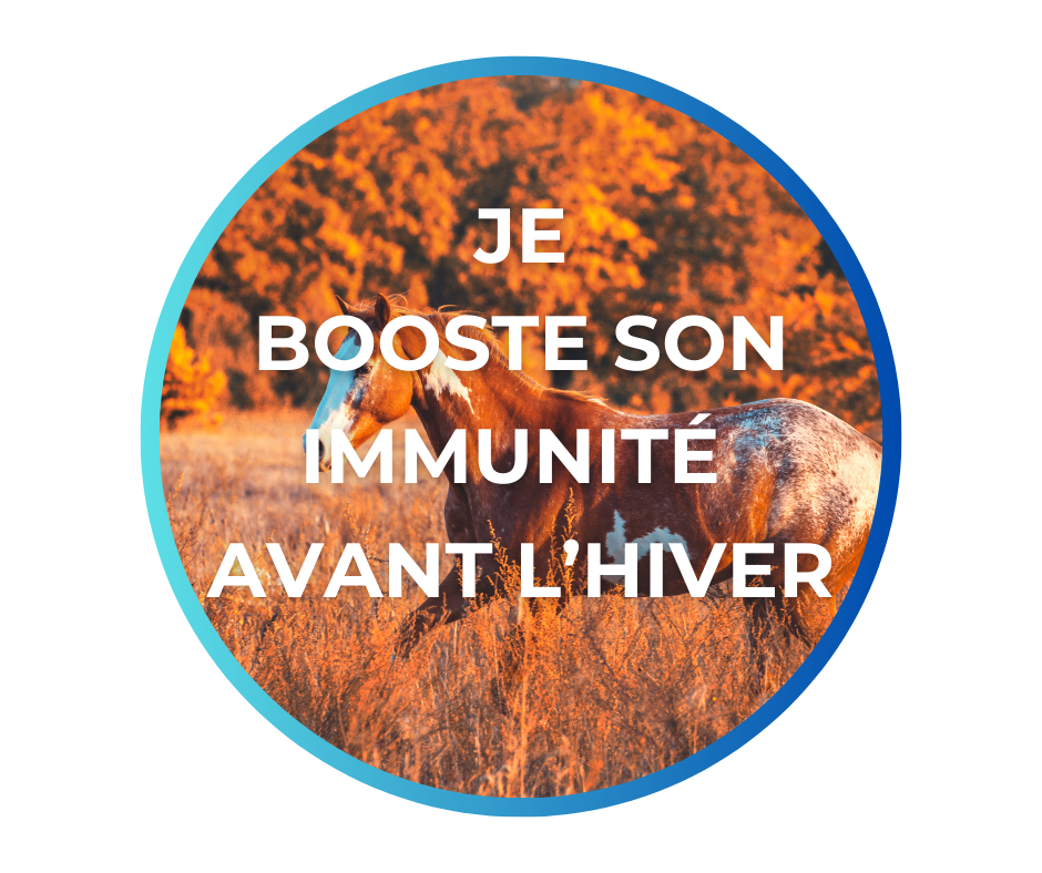 Spray pour lutter contre les insectes