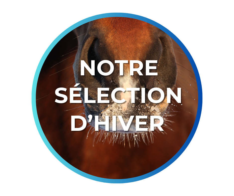 Soins Hiver cheval