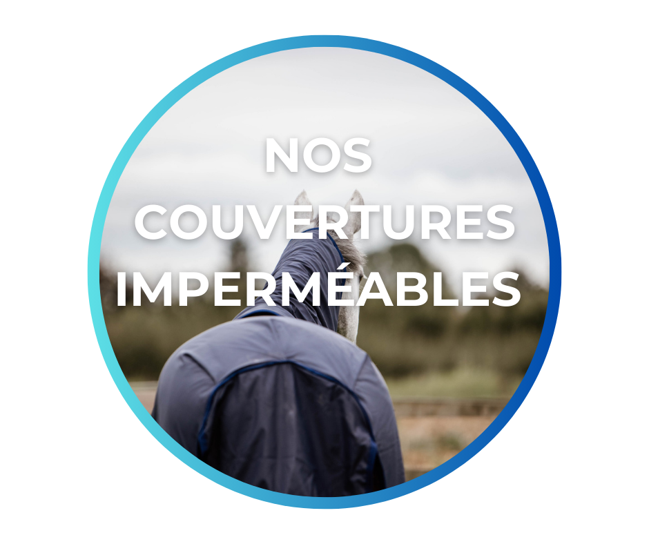 Spray pour lutter contre les insectes