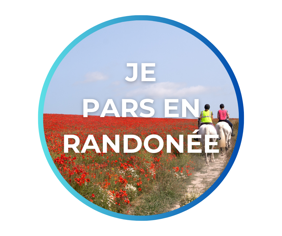 Spray pour lutter contre les insectes