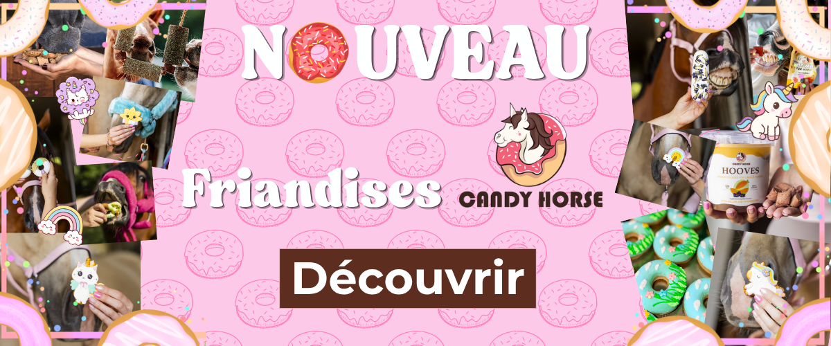 Friandises pour chevaux Candy Horse