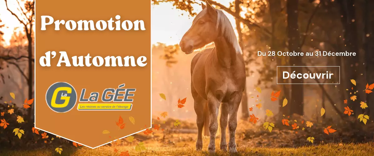 Promotion d'automne La Gée chez Equestra