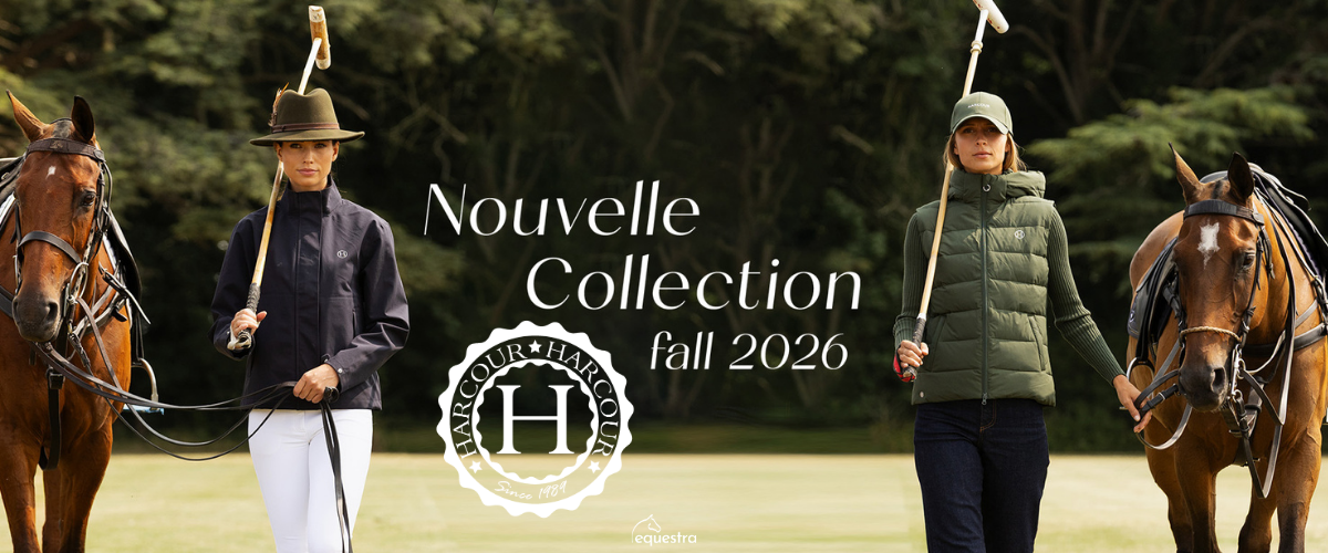 Nouvelle Collection Harcour chez Equestra