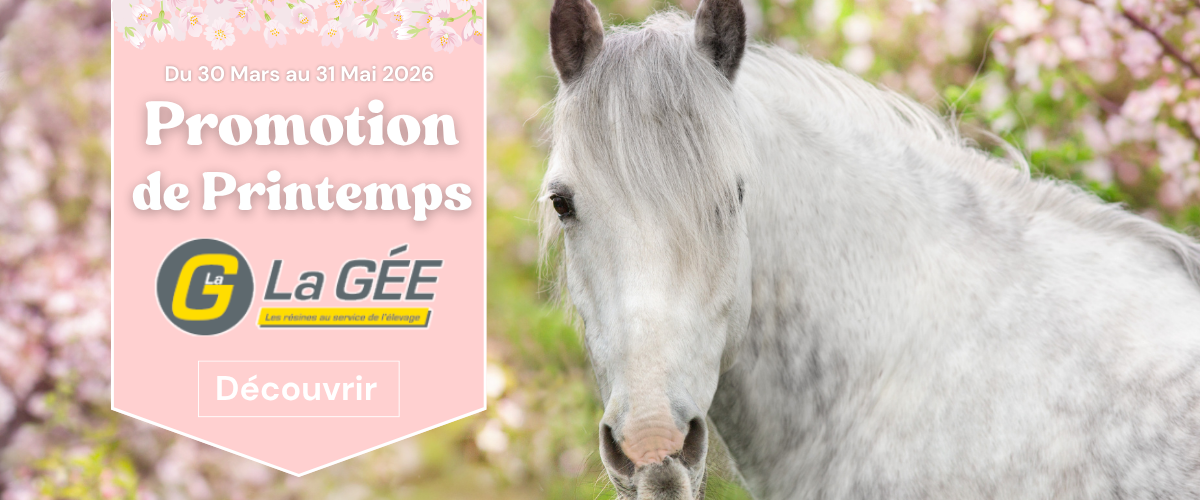 Promotion de printemps La Gée