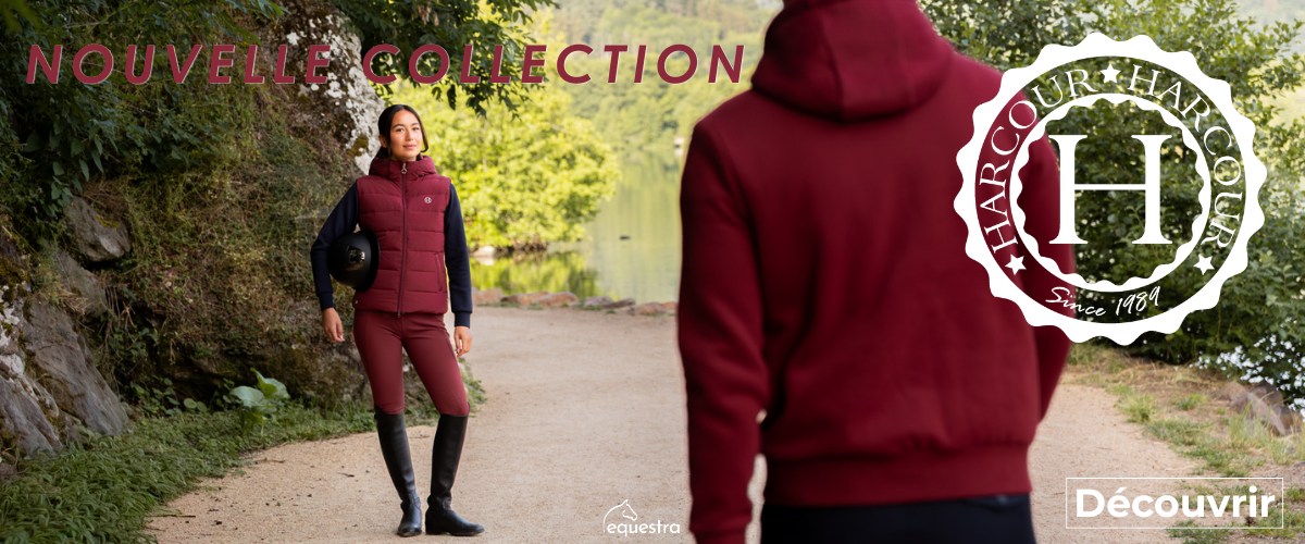 Nouvelle Collection Harcour chez Equestra