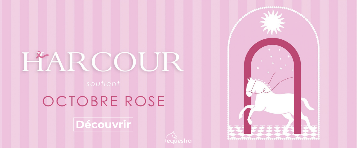 Nouvelle collection GEM Equitation Fall in Love 26 chez Equestra