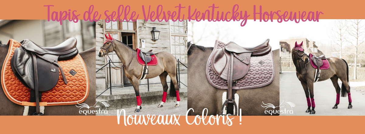 Nouveaux tapis velvet kentucky - Equestra