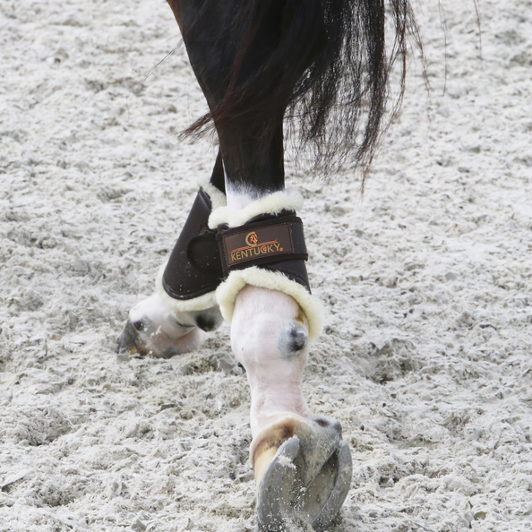 Protège-boulets mouton Kentucky - Equestra