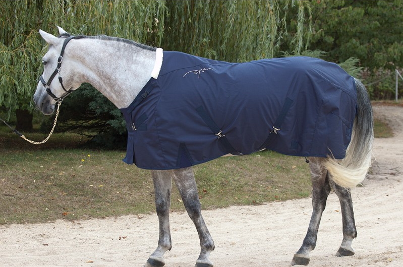 Chemise d'écurie Summer Dyon - Equestra