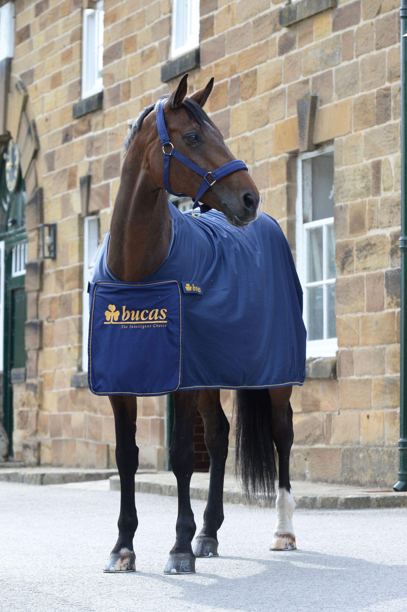 Chemise séchante Panel Bucas - Equestra