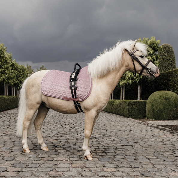 Tapis de selle Tiny Velvet Kentucky - Equestra