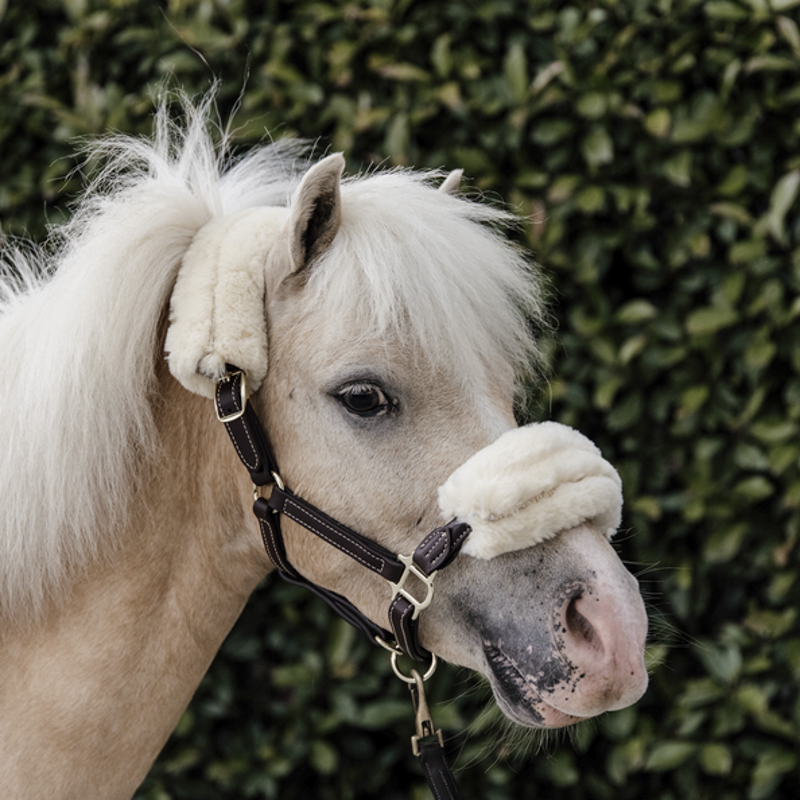 Licol mouton et cuir poney Kentucky - Equestra