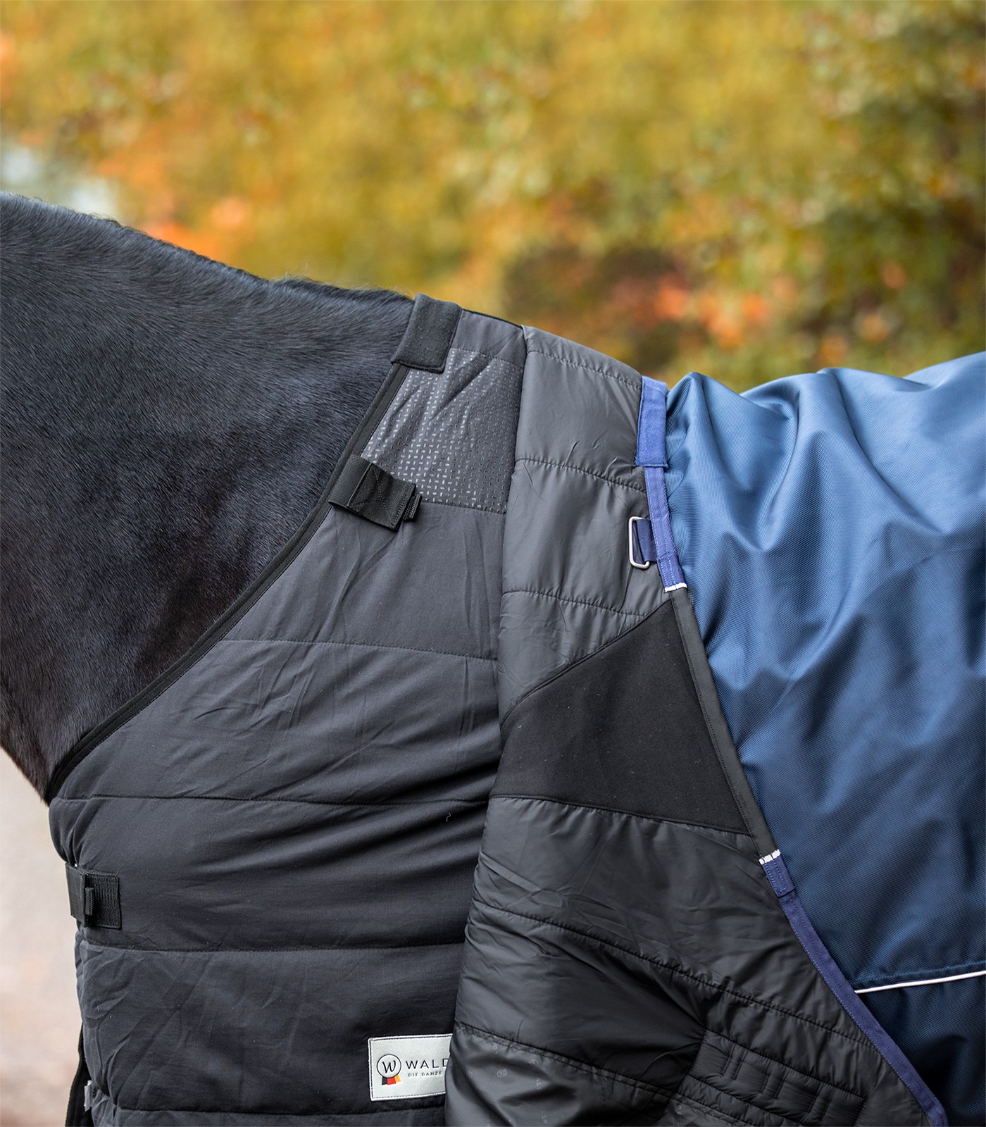 Couverture extérieur cheval 100 g Economic System - Waldhausen - Equestra