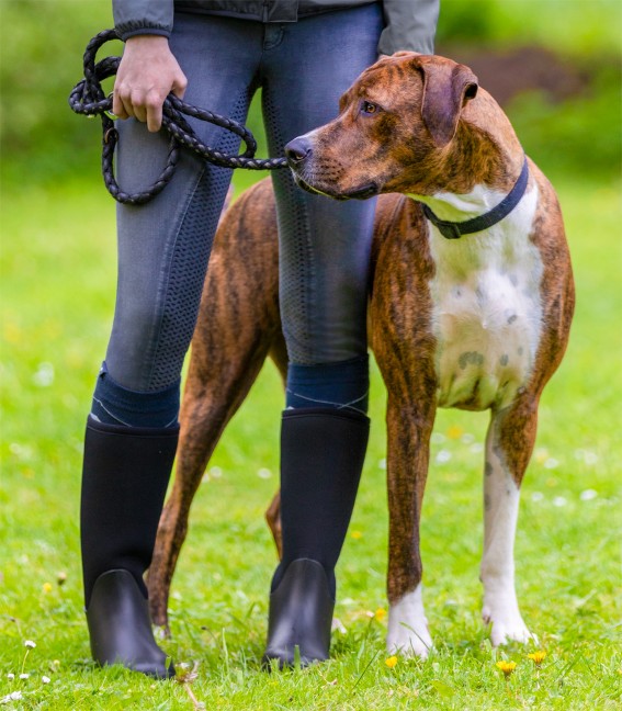 Bottes écurie Houston Elt  - Equestra