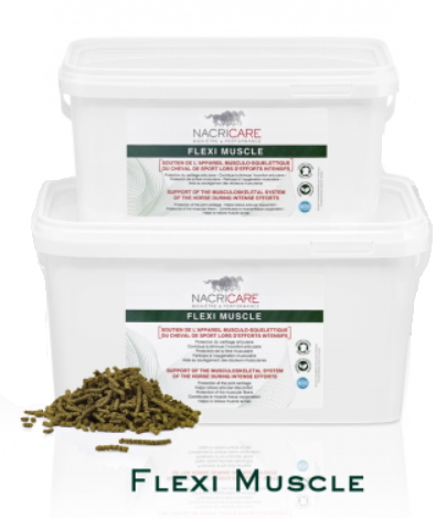 Flexi muscle Nacricare - Equestra