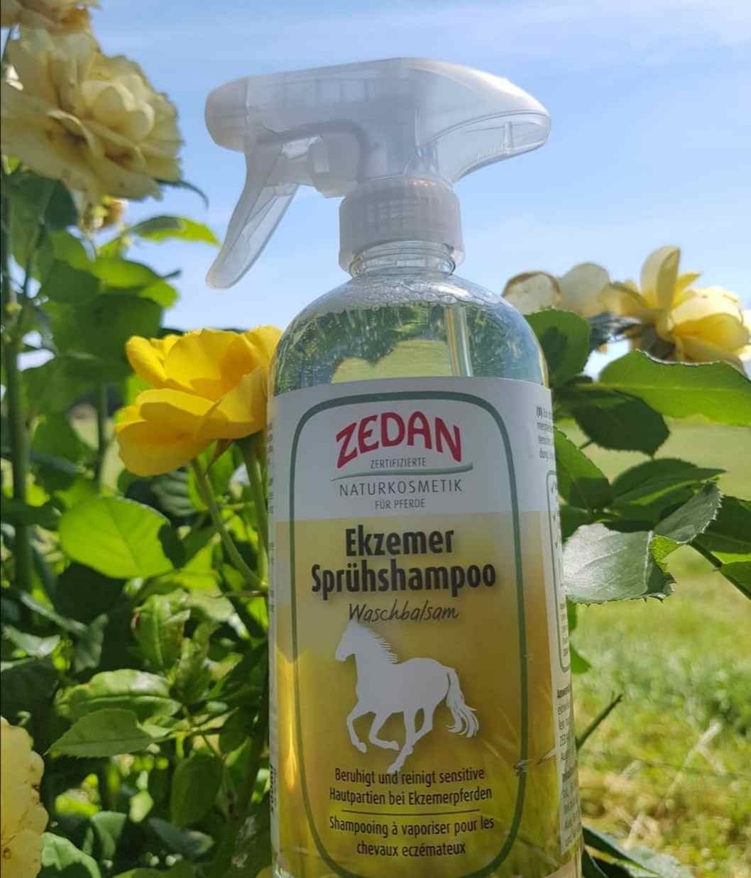 shampoing spray anti dermite Zedan - Equestra