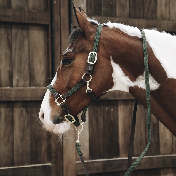 longe en nylon tressé Kentucky - Equestra