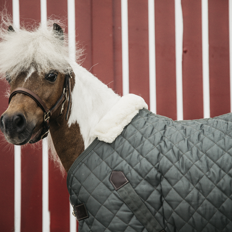 Couverture d'écurie shetland 400gr Tiny - Kentucky Horsewear - KENTUCKY HORSEWEAR - Couvertures d'écurie