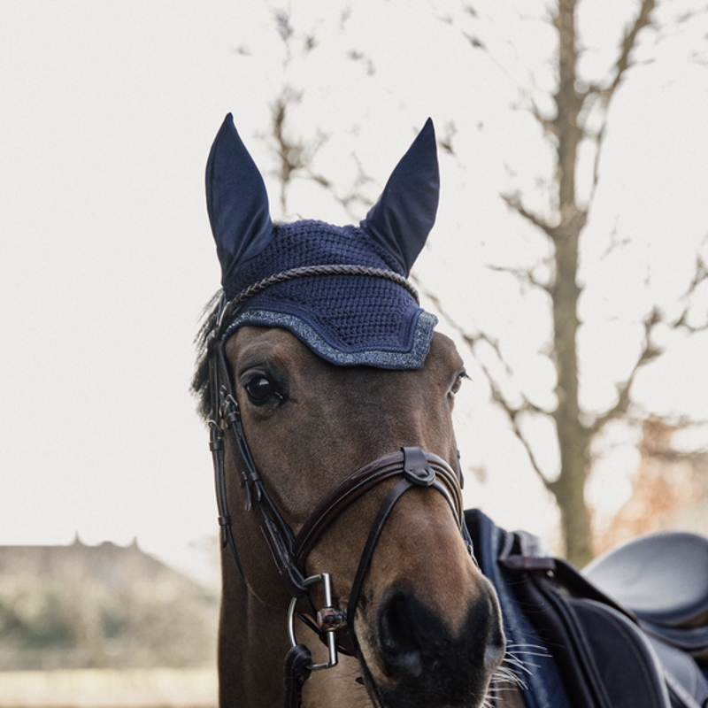 Freejump - Bonnet pour cheval Noir / Bleu