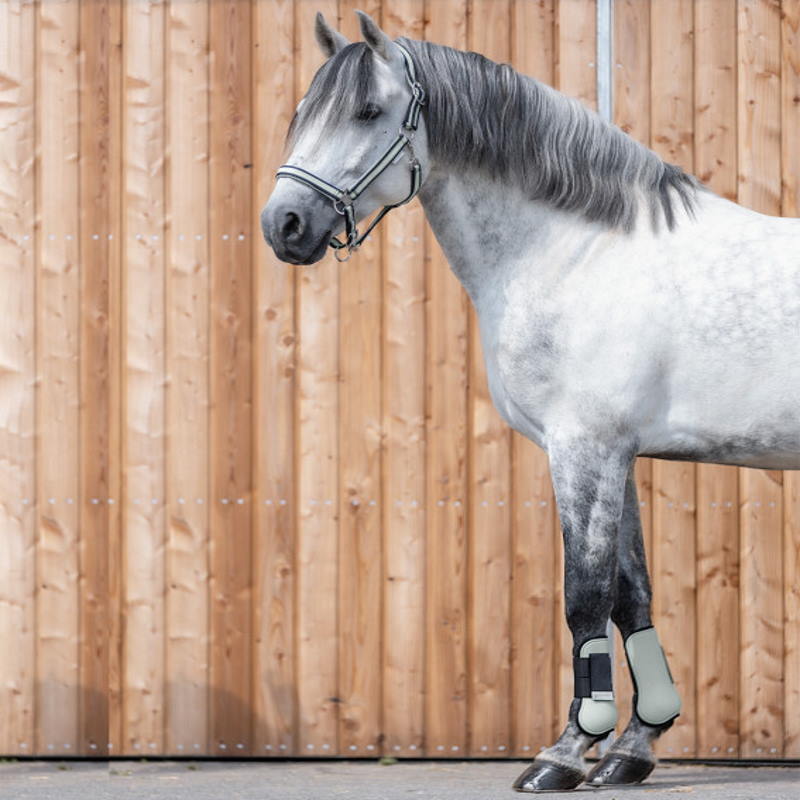 Protège-tendons cheval Espéria Waldhausen - Equestra
