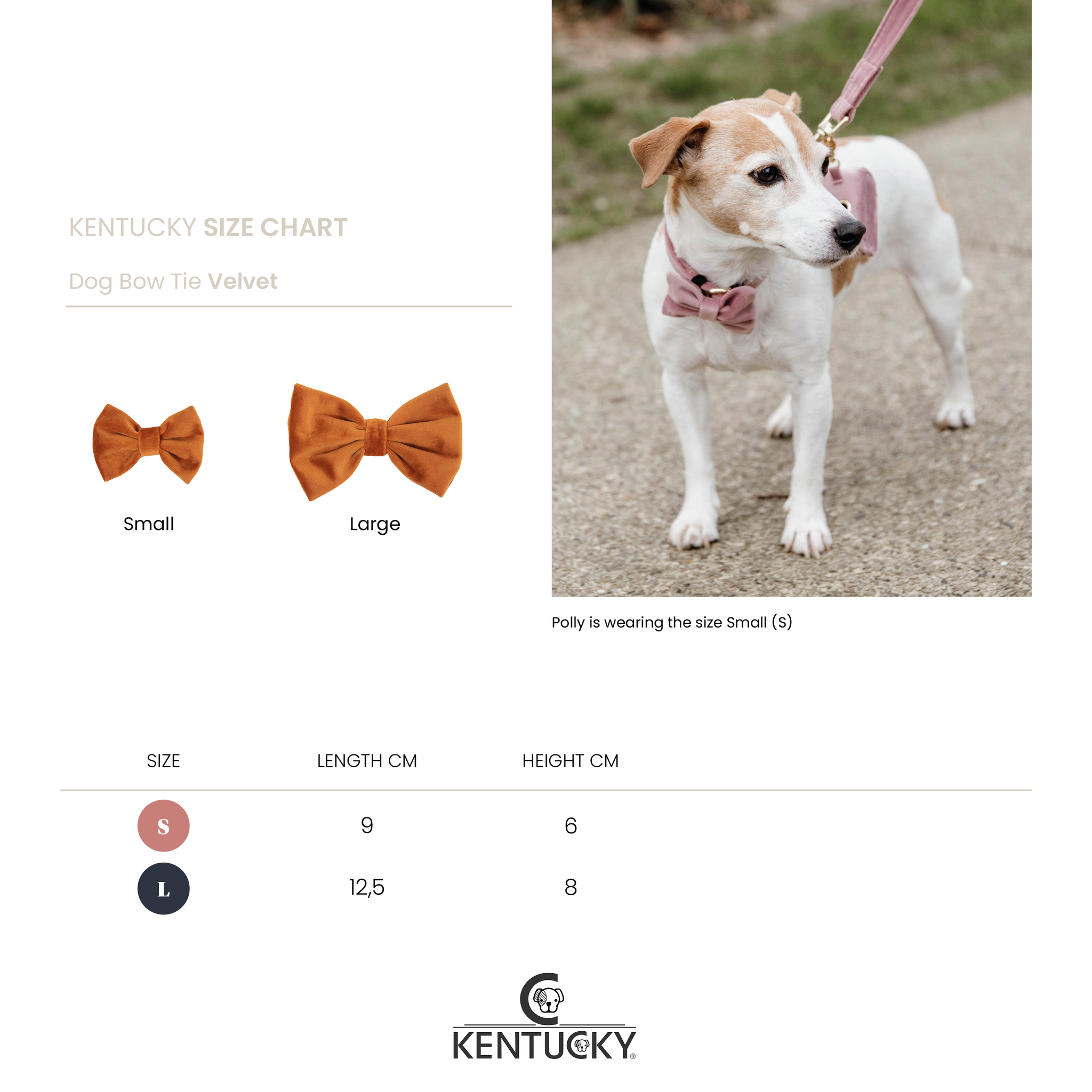 Guide des tailles noeud papillon chien Kentucky dogwear - Equestra
