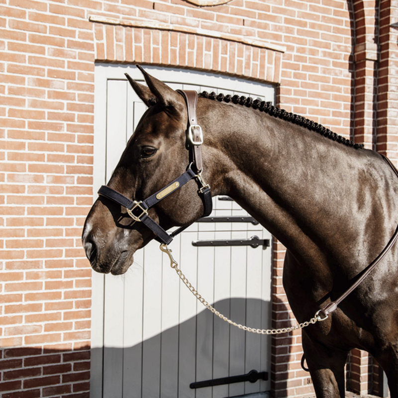 Longe de présentation cuir et chaine Kentucky Horsewear - Equestra