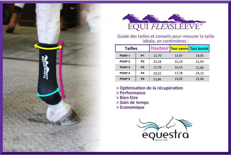 Guide des tailles chaussettes de contention Equiflexsleeve poney - Equestra