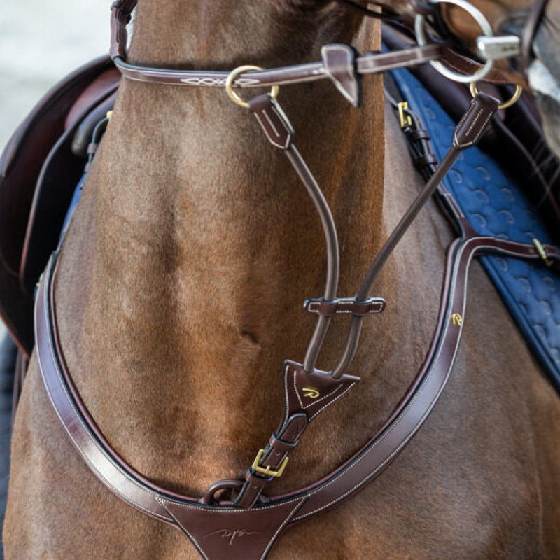 Fourchette de martingale à anneaux élastiques D Collection Dyon - Equestra