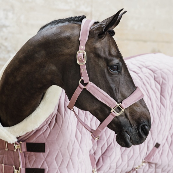 Couverture Show Rug Velvet rose Kentucky Horsewear - Equestra