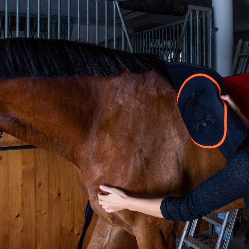 mode d'emploi patch cape capsular akhal - Equestra