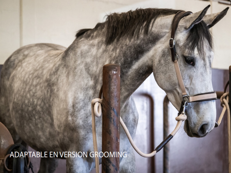 Licol transport et gromming cheval Dyon - Equestra