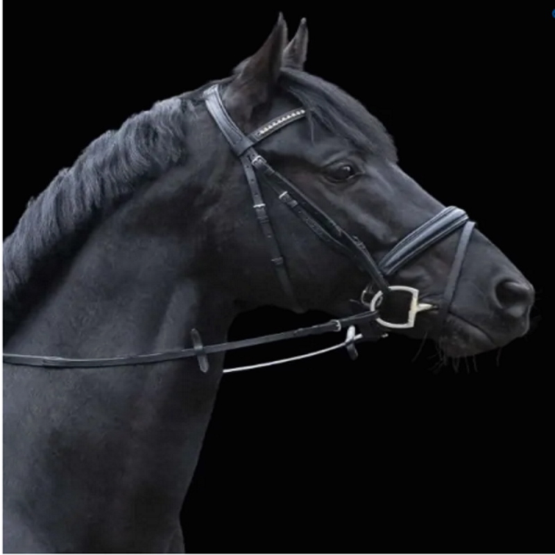 Mors verdun double brisure sensogan sprenger - Equestra