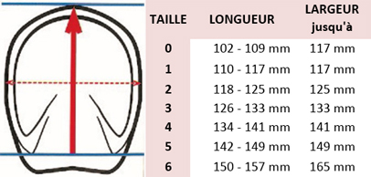 taillehipposimple.jpg