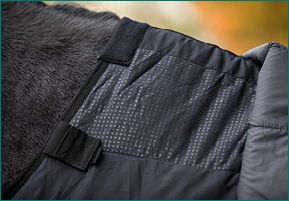 Couverture extérieur cheval 300g Economic Clip'in system - Waldhausen