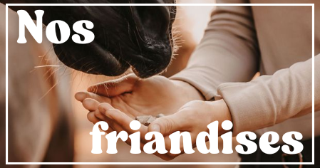 Friandises cheval