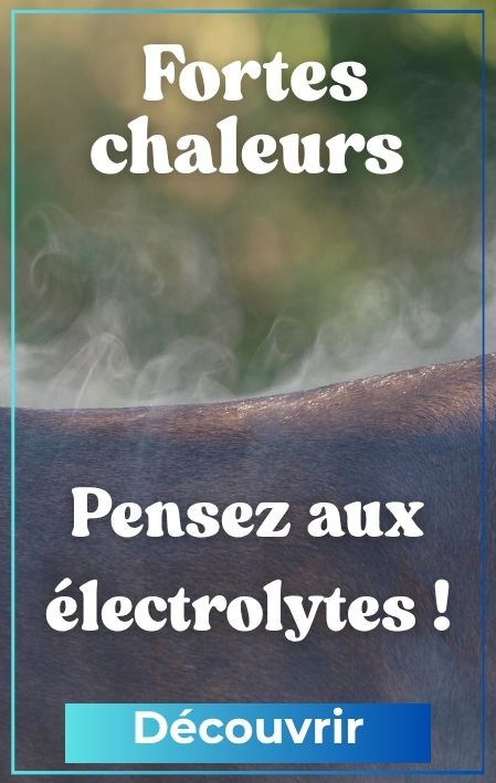 Fortes chaleur : Pensez aux électrolytes !