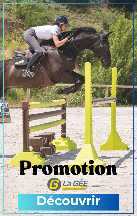 Promotion de Printemps La Gée