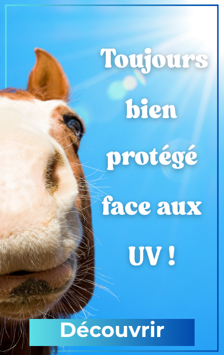 Protection anti-uv ☀️
