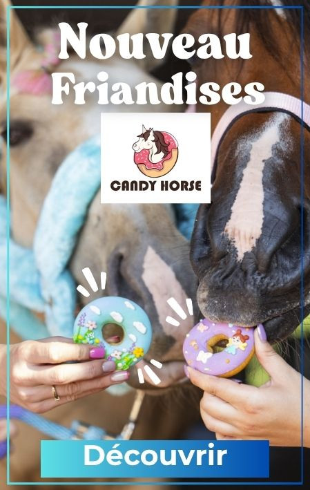 Nouveau friandises pour chevaux Candy Horse