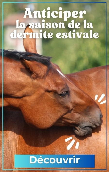 Démarrez dès maintenant la lutte contre la dermite estivale !