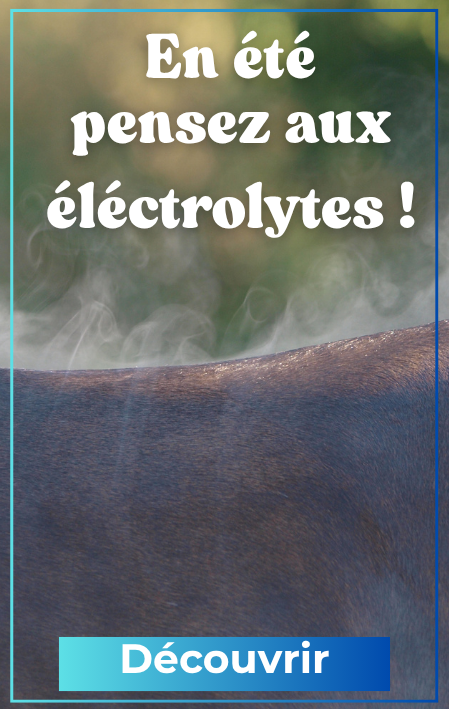 Electrolytes cheval