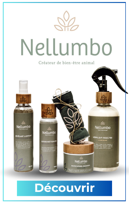 Bienvenue nellumbo