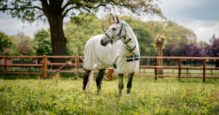 Couvertures cheval