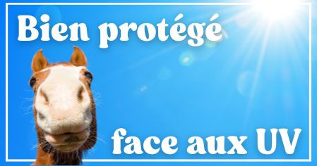 Protection anti-uv pour chevaux