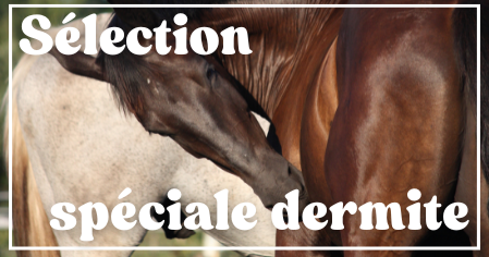 Sélection dermite estivale