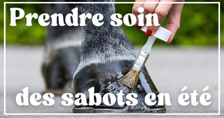 Soins des sabots en été
