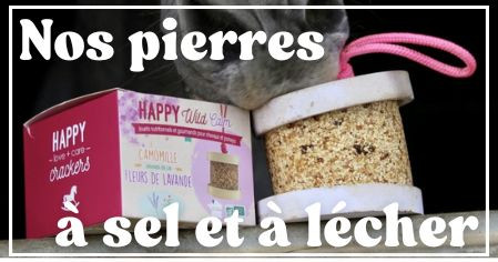 Pierre à sel et à lécher cheval