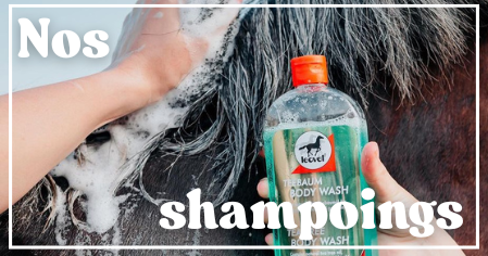 Shampoing pour chevaux